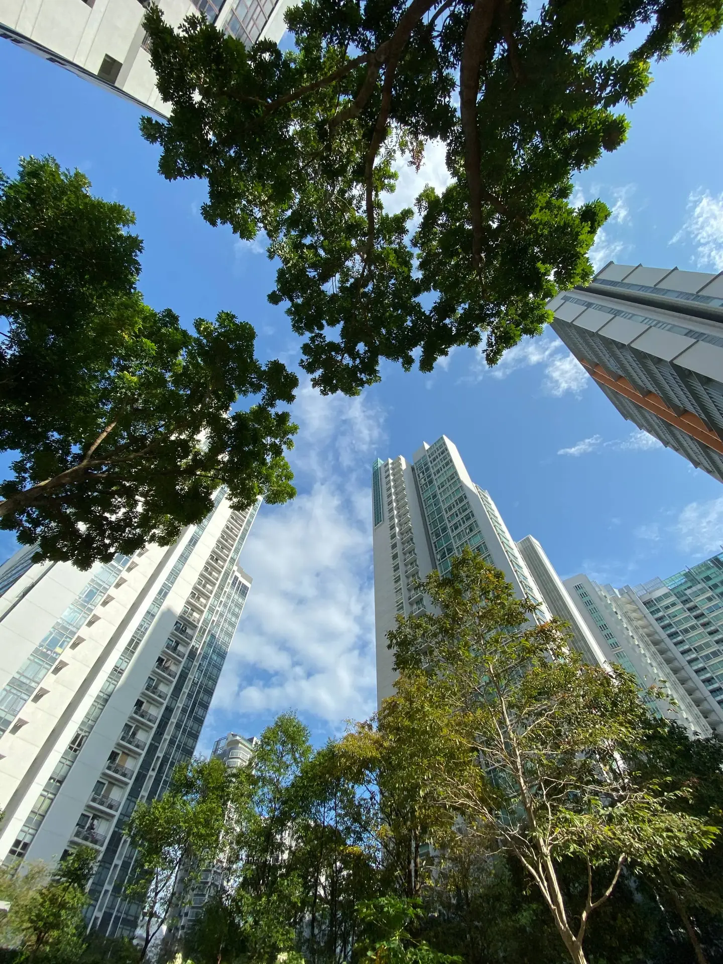 Tall modern high-rise buildings frame a canopy of green trees against a clear blue sky