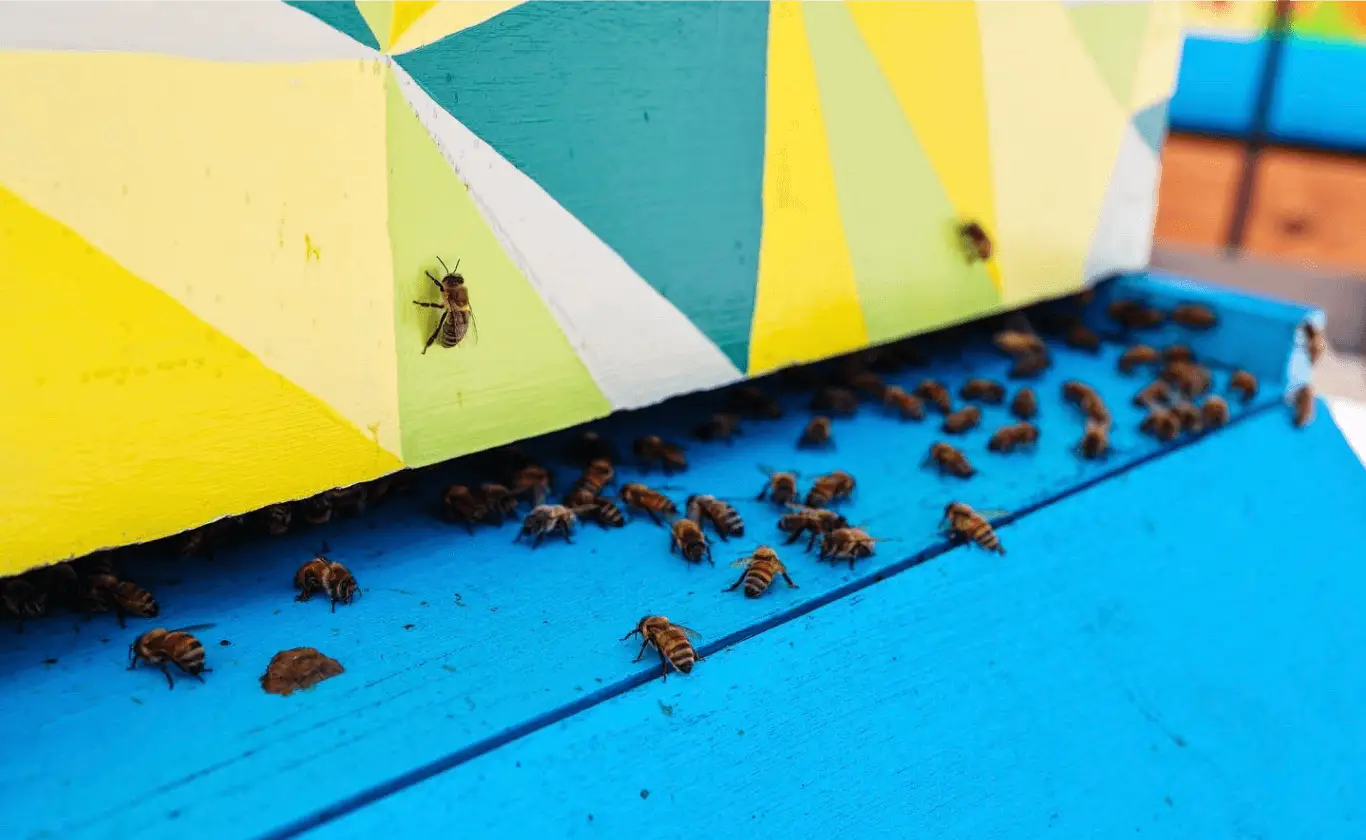 Bees swarm around a brightly painted beehive on a blue wooden stand.