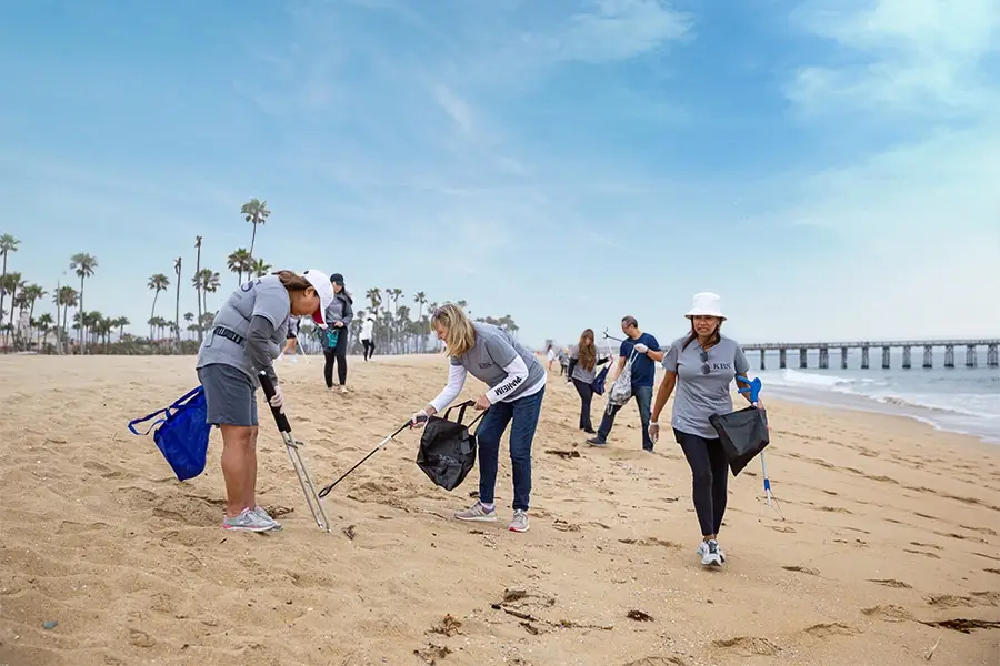 Volunteers clean a sunny beach with litter grabbers and bags, a pier visible in the background.