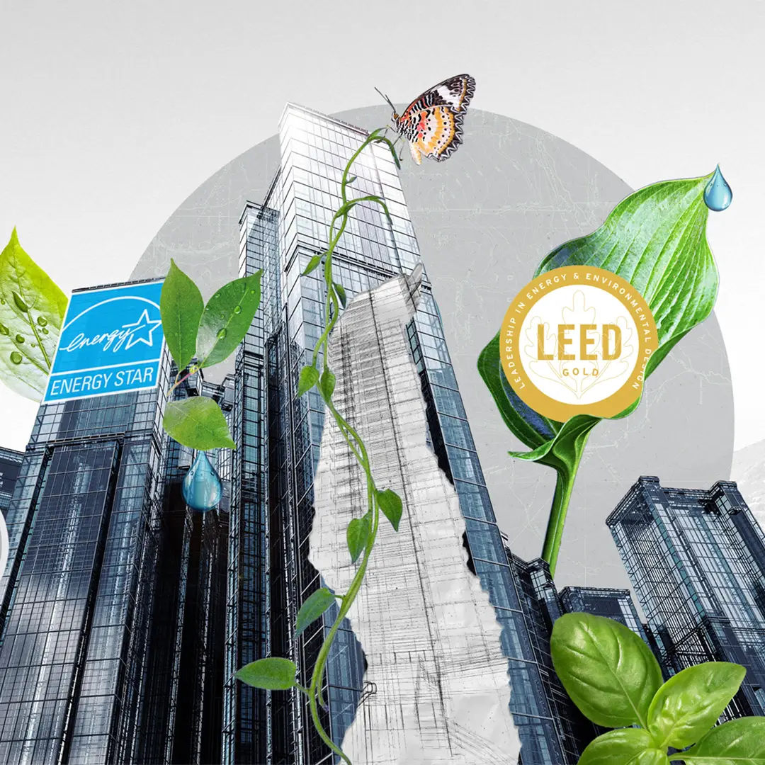 Collage of glass skyscrapers entwined with vines, butterfly, Energy Star sign, and LEED Gold badge.
