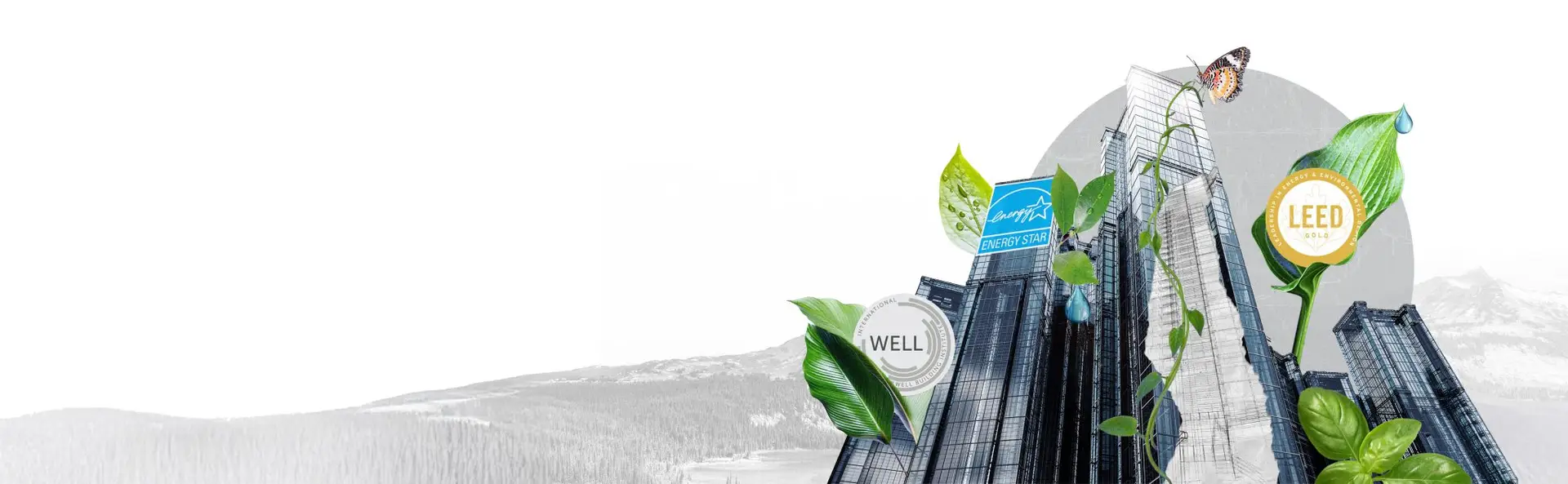 2026-sustainability-article-banner2